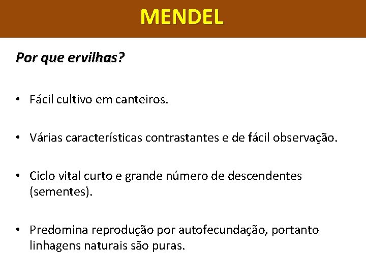 MENDEL Por que ervilhas? • Fácil cultivo em canteiros. • Várias características contrastantes e