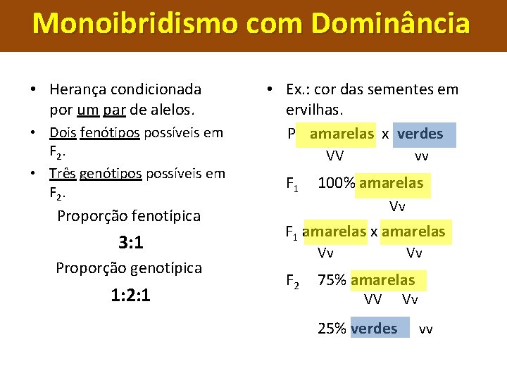 Monoibridismo com Dominância • Herança condicionada por um par de alelos. • Dois fenótipos