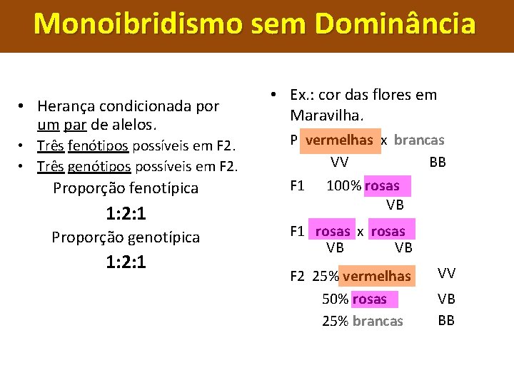 Monoibridismo sem Dominância • Herança condicionada por um par de alelos. • Três fenótipos