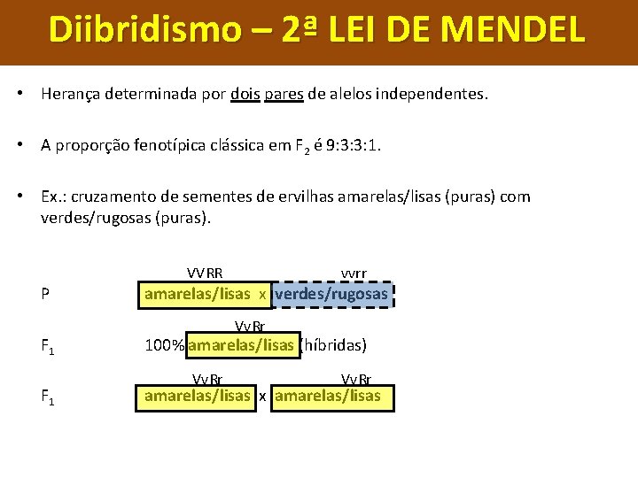 Diibridismo – 2ª LEI DE MENDEL • Herança determinada por dois pares de alelos