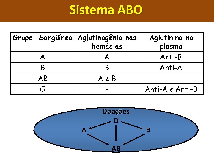 Sistema ABO Grupo Sangüíneo Aglutinogênio nas hemácias A B AB O A B Ae.