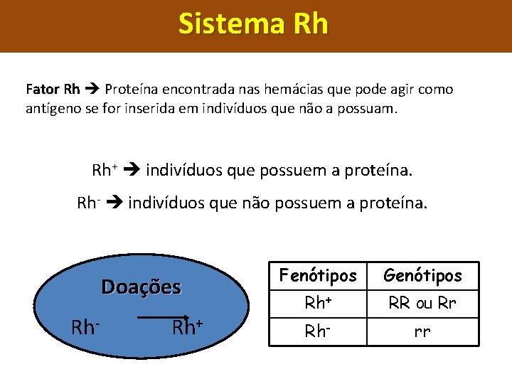 Sistema Rh Fator Rh Proteína encontrada nas hemácias que pode agir como antígeno se