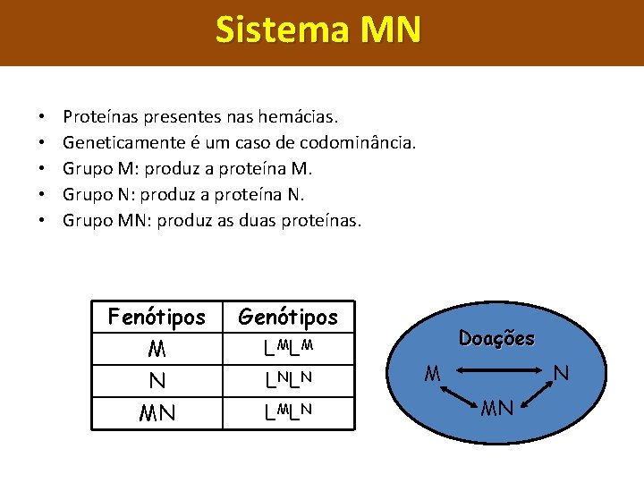 Sistema MN • • • Proteínas presentes nas hemácias. Geneticamente é um caso de