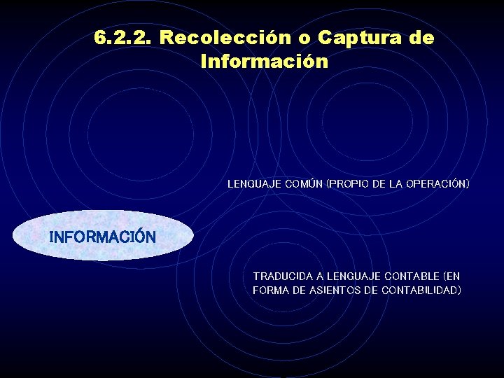6. 2. 2. Recolección o Captura de Información LENGUAJE COMÚN (PROPIO DE LA OPERACIÓN)