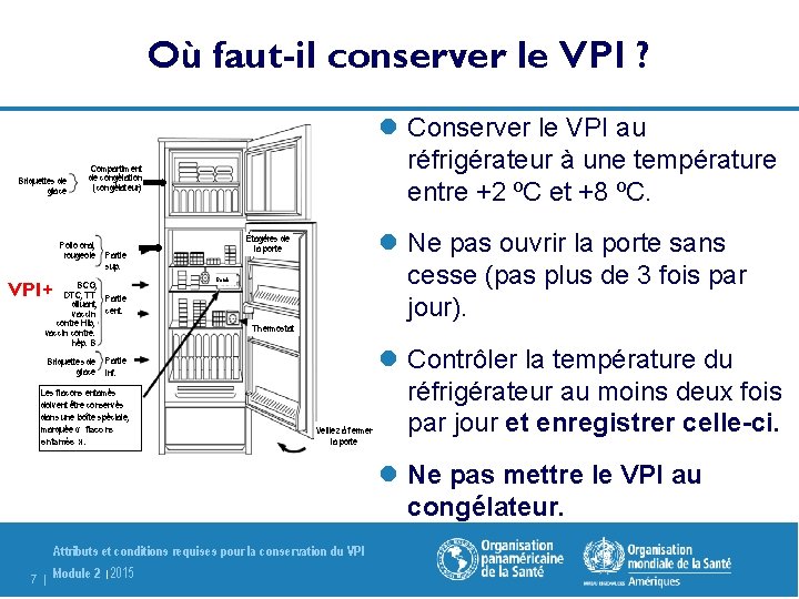 Où faut-il conserver le VPI ? Briquettes de glace l Conserver le VPI au