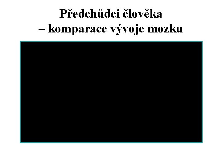 Předchůdci člověka – komparace vývoje mozku 