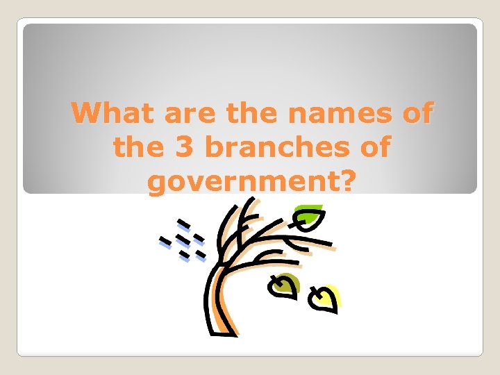 What are the names of the 3 branches of government? 