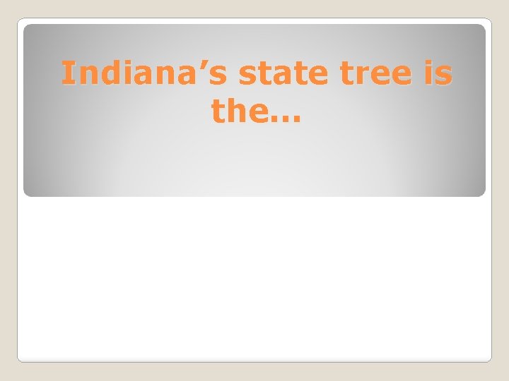 Indiana’s state tree is the… 