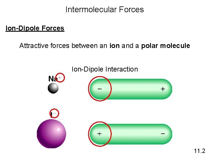 Intermolecular Forces Ion-Dipole Forces Attractive forces between an ion and a polar molecule Ion-Dipole