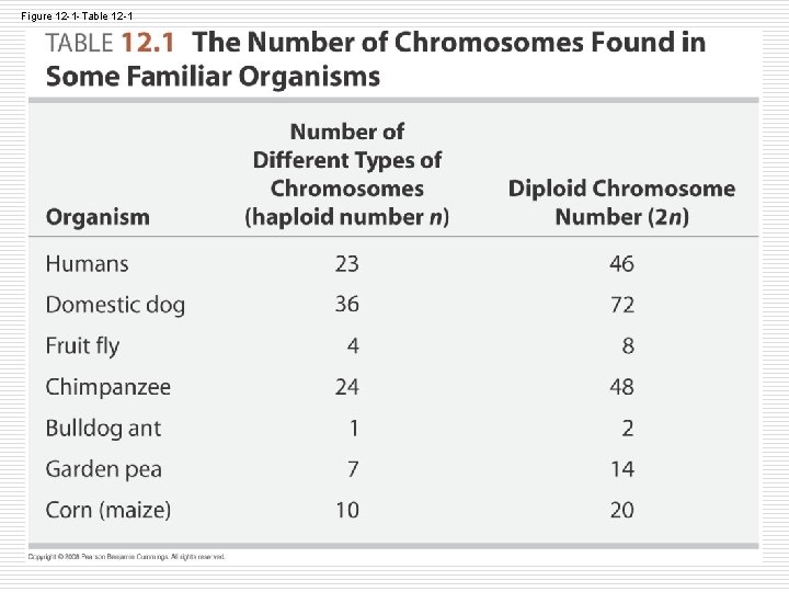 Figure 12 -1 -Table 12 -1 Figure 12 -1 -Table 12 -1