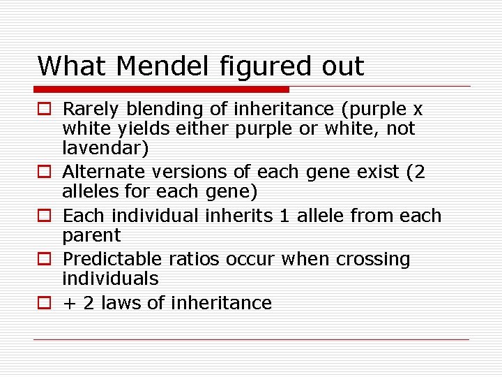 What Mendel figured out o Rarely blending of inheritance (purple x white yields either What Mendel figured out o Rarely blending of inheritance (purple x white yields either