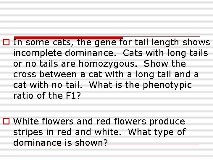 o In some cats, the gene for tail length shows incomplete dominance. Cats with o In some cats, the gene for tail length shows incomplete dominance. Cats with