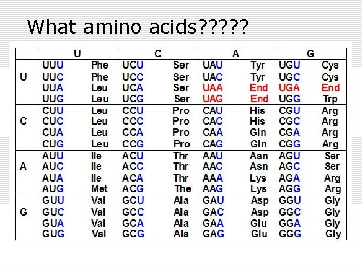 What amino acids? ? ? What amino acids? ? ?