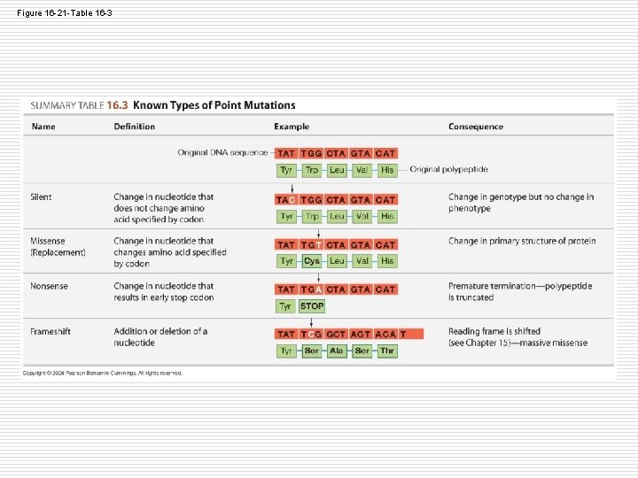 Figure 16 -21 -Table 16 -3 Figure 16 -21 -Table 16 -3