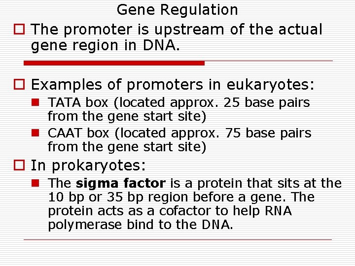 Gene Regulation o The promoter is upstream of the actual gene region in DNA. Gene Regulation o The promoter is upstream of the actual gene region in DNA.