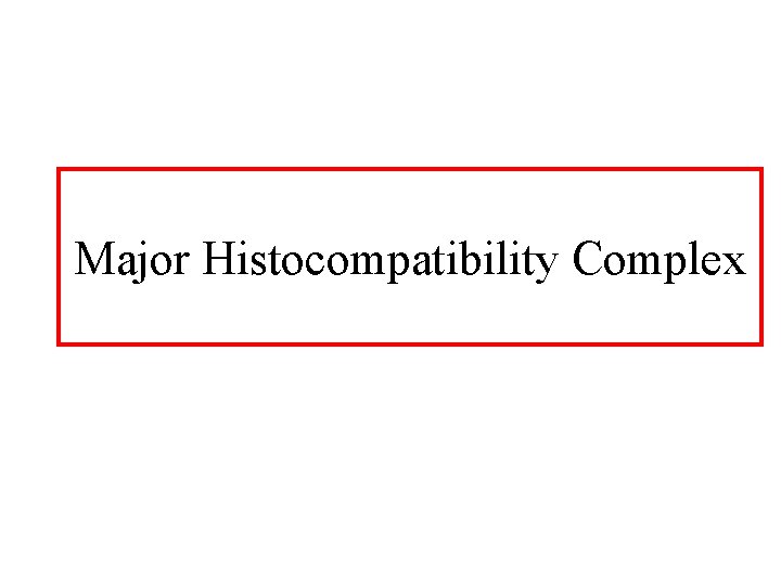 Major Histocompatibility Complex 