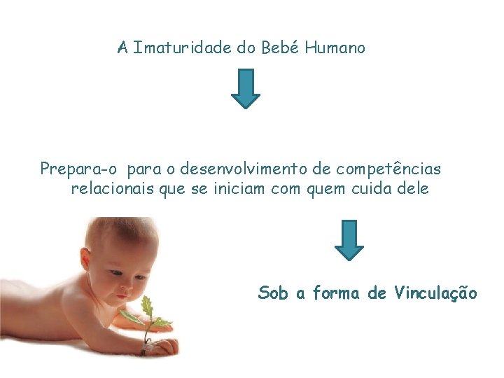 A Imaturidade do Bebé Humano Prepara-o para o desenvolvimento de competências relacionais que se A Imaturidade do Bebé Humano Prepara-o para o desenvolvimento de competências relacionais que se