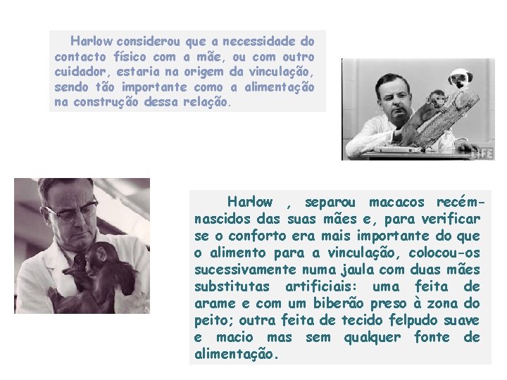 Harlow considerou que a necessidade do contacto físico com a mãe, ou com outro Harlow considerou que a necessidade do contacto físico com a mãe, ou com outro