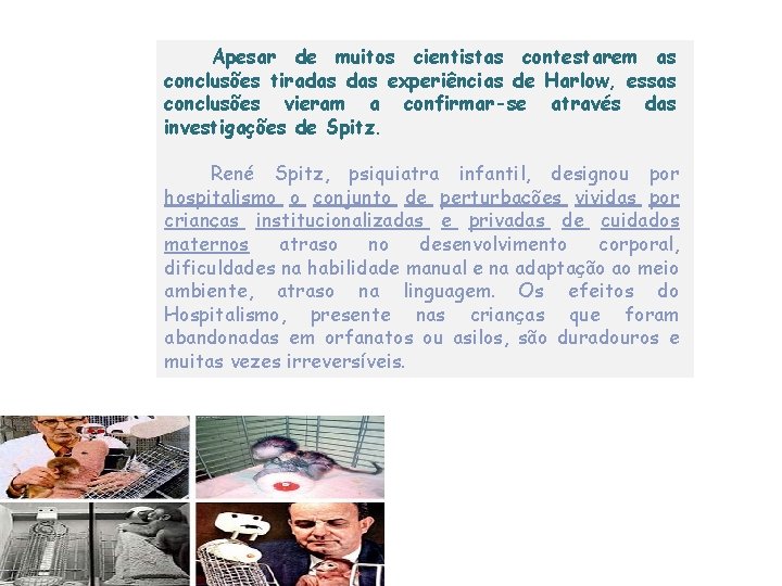 Apesar de muitos cientistas contestarem as conclusões tiradas experiências de Harlow, essas conclusões vieram Apesar de muitos cientistas contestarem as conclusões tiradas experiências de Harlow, essas conclusões vieram