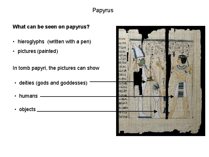 Papyrus What can be seen on papyrus? • hieroglyphs (written with a pen) •