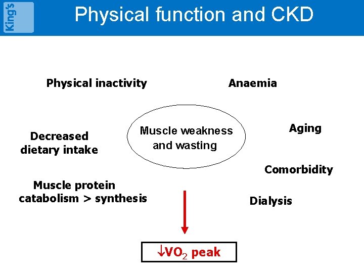 Physical function and CKD Anaemia Physical inactivity Decreased dietary intake Muscle weakness and wasting