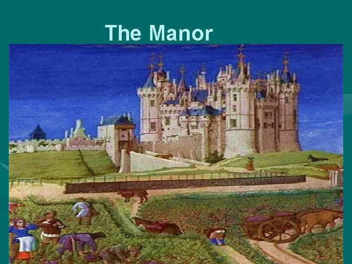 The Manor 