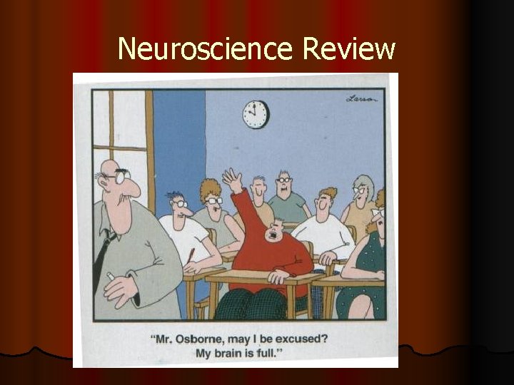 Neuroscience Review 