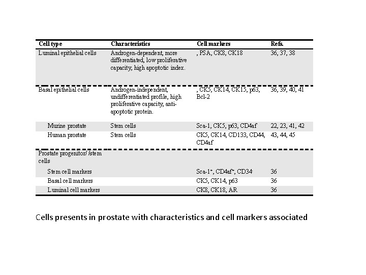Cell type Luminal epithelial cells Characteristics Androgen-dependent, more differentiated, low proliferative capacity, high apoptotic