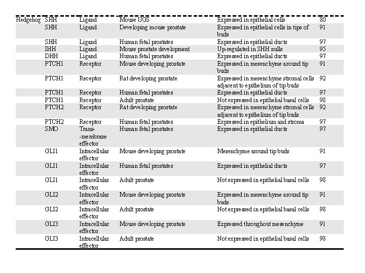 Hedgehog SHH Ligand Mouse UGS Developing mouse prostate SHH IHH DHH PTCH 1 Ligand