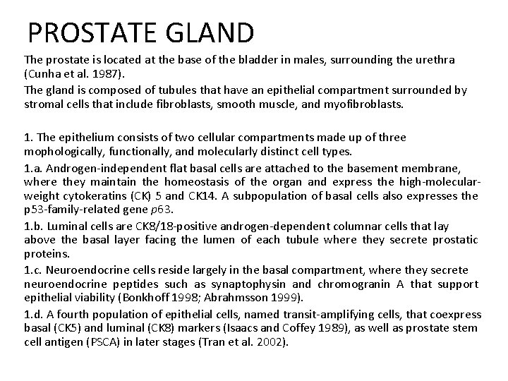 PROSTATE GLAND The prostate is located at the base of the bladder in males,