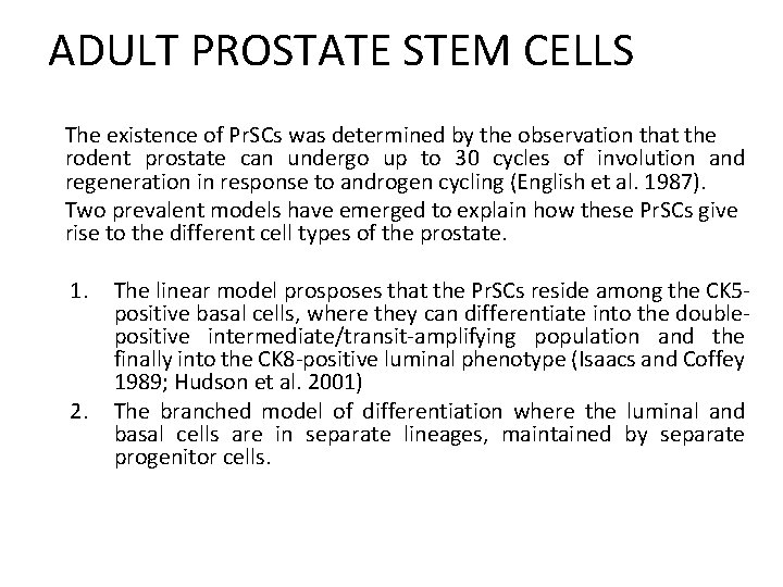 ADULT PROSTATE STEM CELLS The existence of Pr. SCs was determined by the observation