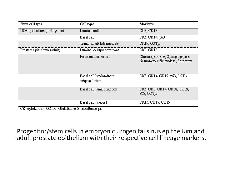 Stem cell type Cell type Markers UGS epithelium (embryonic) Luminal cell CK 8, CK
