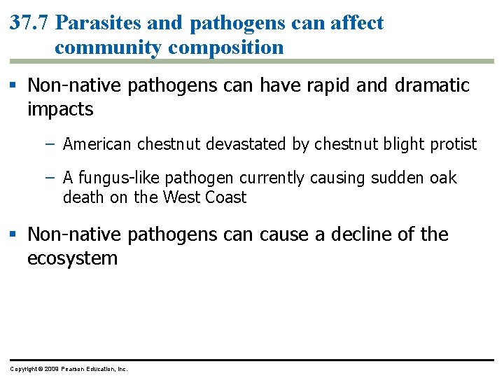 37. 7 Parasites and pathogens can affect community composition § Non-native pathogens can have