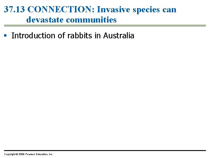 37. 13 CONNECTION: Invasive species can devastate communities § Introduction of rabbits in Australia