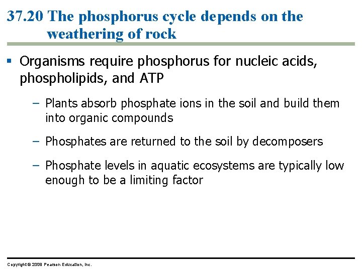 37. 20 The phosphorus cycle depends on the weathering of rock § Organisms require