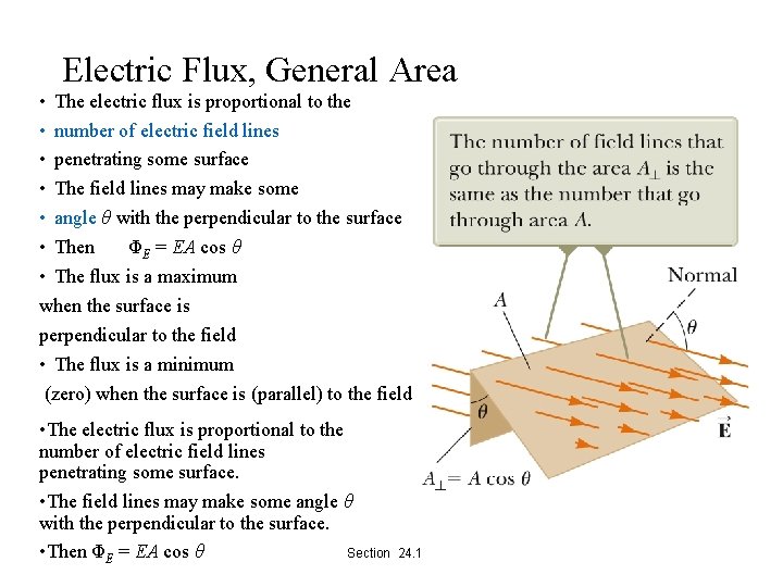 Electric Flux, General Area • The electric flux is proportional to the • number