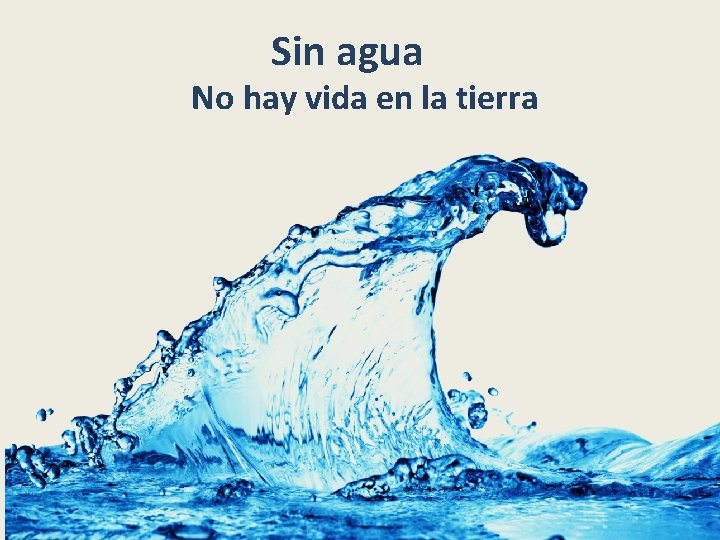 Sin agua No hay vida en la tierra 