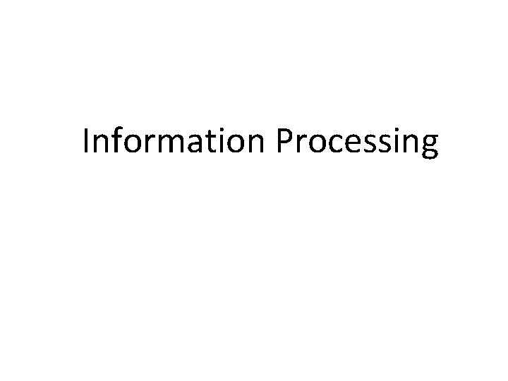 Information Processing 