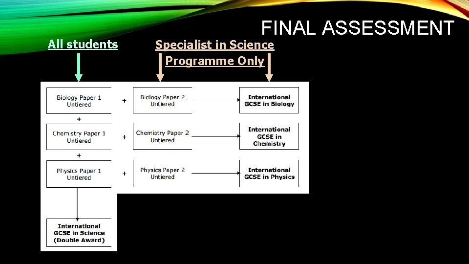 All students FINAL ASSESSMENT Specialist in Science Programme Only 