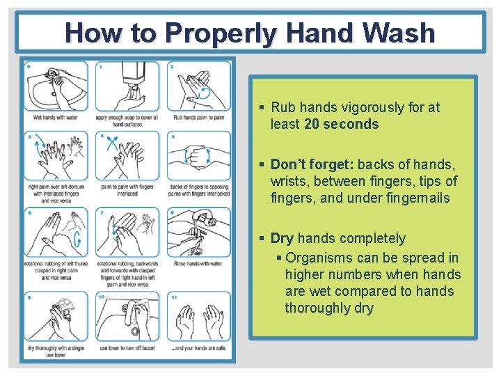 How to Properly Hand Wash § Rub hands vigorously for at least 20 seconds