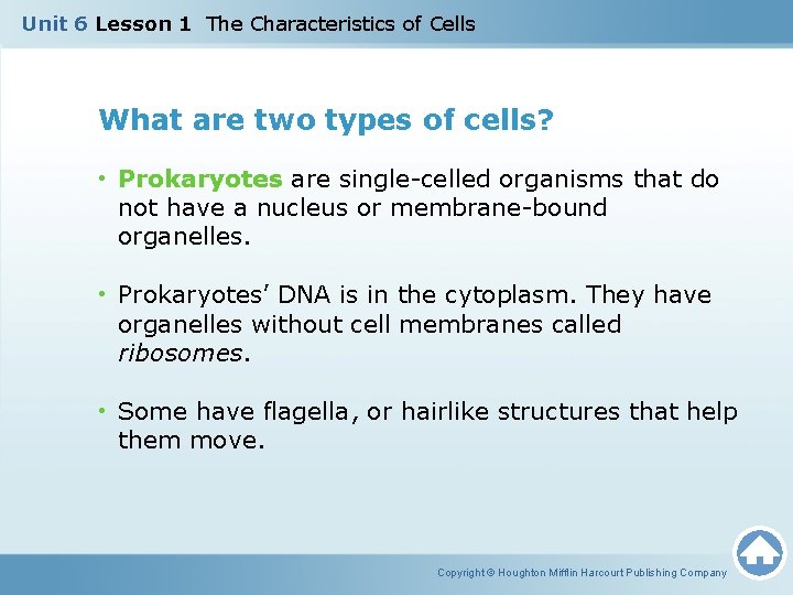 Unit 6 Lesson 1 The Characteristics of Cells What are two types of cells?