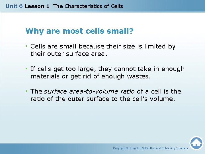 Unit 6 Lesson 1 The Characteristics of Cells Why are most cells small? •