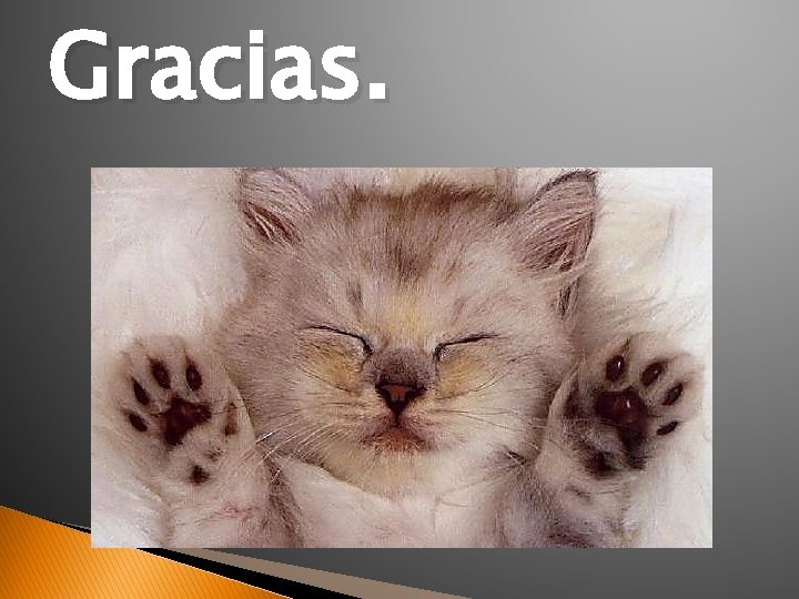 Gracias. 