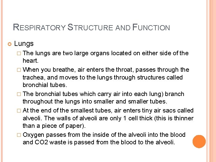 RESPIRATORY STRUCTURE AND FUNCTION Lungs � The lungs are two large organs located on