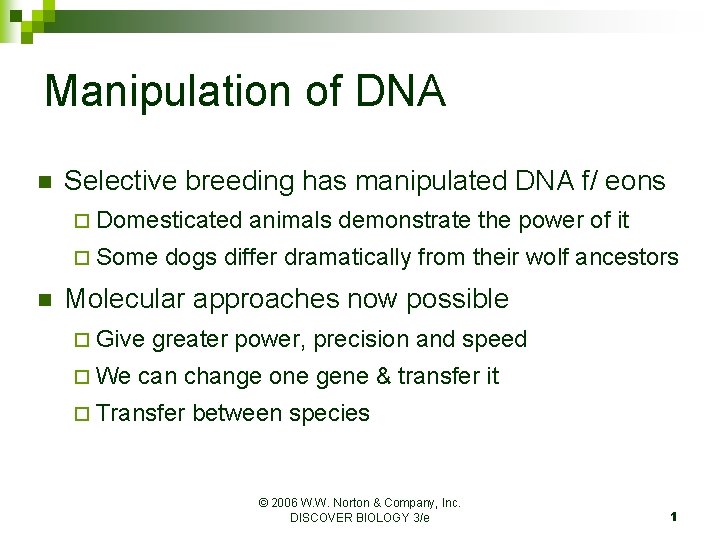 Manipulation of DNA n Selective breeding has manipulated DNA f/ eons ¨ Domesticated ¨