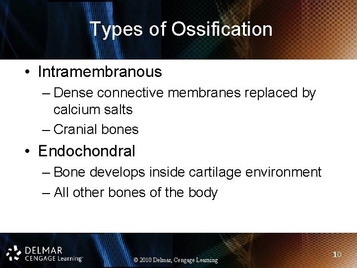 Types of Ossification • Intramembranous – Dense connective membranes replaced by calcium salts –