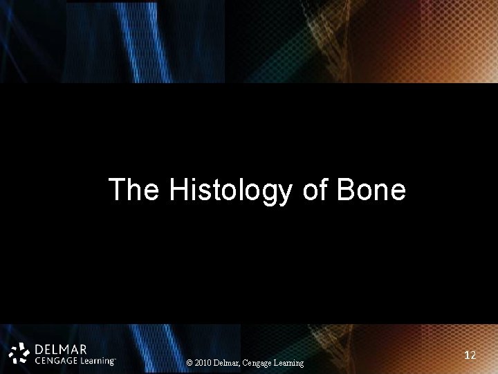 The Histology of Bone © 2010 Delmar, Cengage Learning 12 