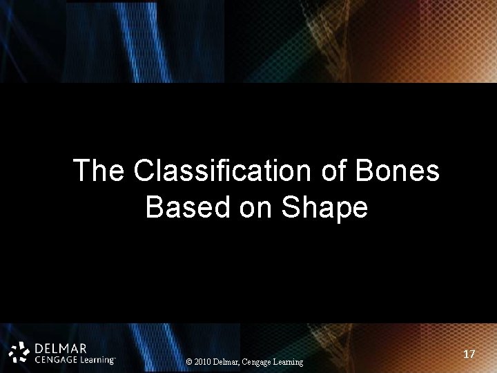 The Classification of Bones Based on Shape © 2010 Delmar, Cengage Learning 17 