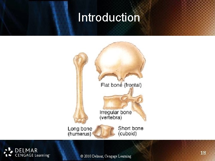 Introduction © 2010 Delmar, Cengage Learning 18 