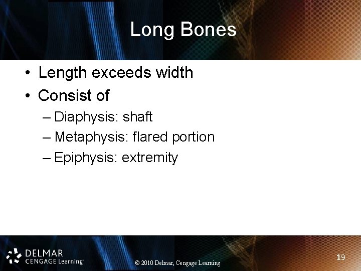 Long Bones • Length exceeds width • Consist of – Diaphysis: shaft – Metaphysis: